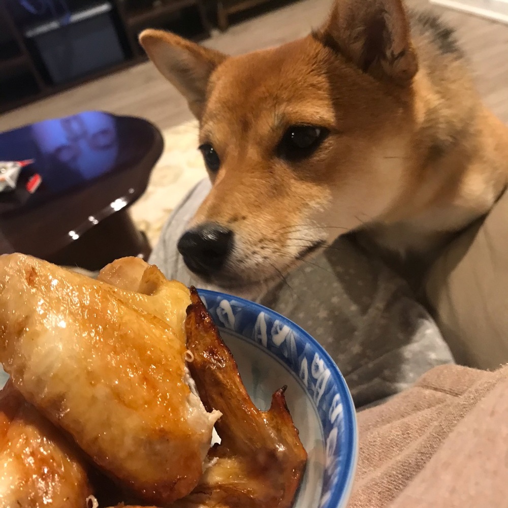 Meet your Posher, Qianmin